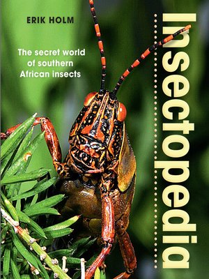 cover image of Insectopedia – the secret world of southern African insects